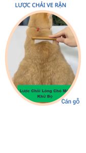 Lược chải ve rận thú cưng lược chó mèo