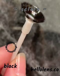 HELLOLENS.CO - My Sclera 21 mm Big Lens / Softlen My Sclera by Pinkin Softlens