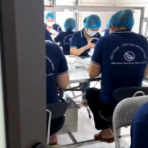 Yến Thô Nguyên Tổ Hảo Hạng Dewis Nest 100% Nguyên Chất Ít Lông Kích Thích Tiêu Hóa Tăng Sức Đề Kháng 25-50-100g