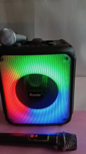 Brodu BTS-2483 6.5inch Portable Bluetooth Speaker