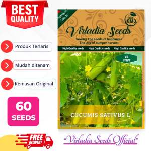 [Virladia Seeds] Biji Benih tanaman Timun lalap hijau