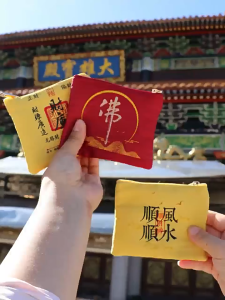 Wealth Vault Lucky Wallet / Portable Fortune Bags / Empty Sachet Zipper Pouch For Festival Gifts 财库小钱包 招财守财 财源广进