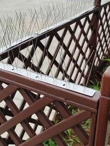 Bird Spikes for Protecting Chickens from Sparrows and Magpies - Durable and Easy to Install ไล่นกพิราบที่ดักนก กันนกพิราบ อุปกรณ์ไล่นกทำรัง