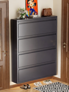 DIBIOU | Dustproof Narrow Thin Shoe Cabinet for Home Storage