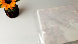 Digital Oil Paint 20x20cm Canvas Frame Number Painting Gifts Living Room Wall Various Art Styles Decor Painting