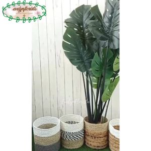 Pohon Imitasi Monstera T120 Latex Artificial Cover Anyaman Seagrass Variasi Warna Hiasan Rumah