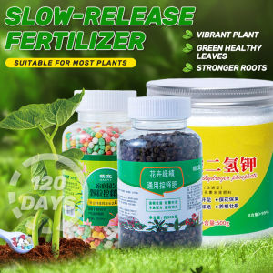 General Controlled Release Fertilizer for Green Plants and Flowers: Long-acting Mild Granular Fertilizer