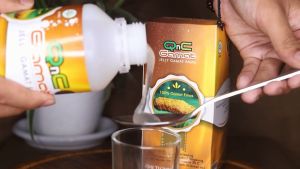 Obat Asam Lambung Tinggi Obat Sakit Maag Obat Gastritis Gerd Radang Lambung Obat Dispepsia Jelly Gamat QnC 100% ORI