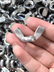 20pcs Stainless Steel Butterfly Wing Nuts M6 M10 Thread Fit for Screw Bolt Solid Type