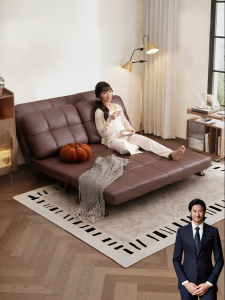 Foldable Dual-Use Techno Fabric Sofa Bed 2 Seater