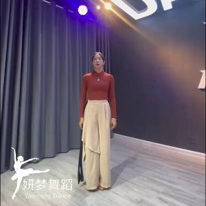 现代舞练功服裤女宽松飘逸阔腿裤古典舞蹈服装爵士舞演出服Modern dance practice clothes pants womens loose and elegant wide leg pants classical dance clothes jazz dance performance clothes