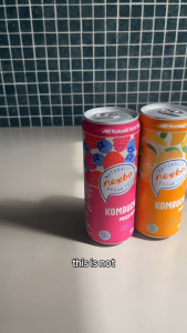 Australias Nexba Kombucha Probiotics Drinks | Sugar-Free | 330ml | Vegan-Friendly