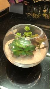 [สวนโหลแก้ว ต้นไม้ปลอมมินิมอล สวนแคคตัสปลอม](สวนโหลแก้ว ต้นไม้ปลอมมินิมอล สวนแคคตัสปลอม)