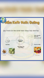 NẤM KEFIR NƯỚC ĐƯỜNG / NƯỚC MÍA – MEN SỐNG TỰ NHIÊN DỄ LÀM TẠI NHÀ 🌿