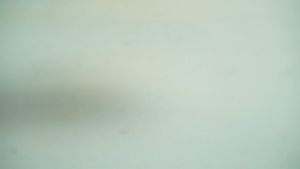 Christian Bale Camelia Sandal Flat Wanita Cantik: Sendal Selop Casual Kekinian