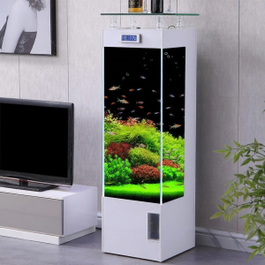 AJIASHUIZU | Creative Eco Lazy Water-changing Free Fish Tank