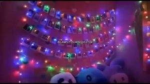 MC LT062 Lampu Tumblr OPP 10 Meter 50 LED Kotak Packingan PLASTIK LAMPU LED DEKORASI LED COD