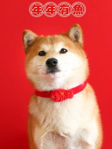 Red Rope Knitted Pet Collar Fluffy Plush New Years Accessory for Cats And Dogs Yuanbao Carp Toy Ideal for Spring Festival