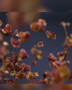 ShiZuRen Instant Cup Noodle - Shi Zu Ren Bihun Instant Rasa Daging Sapi Kerang Siput Asam Pedas Babat Sapi - Original Beef Clam Luoshifen Hot and Sour Tripe Beef Belly Flavor Rice Noodles 100-145g 食族人 牛肉面 花甲粉 螺蛳粉 酸辣粉 麻辣爆肚粉