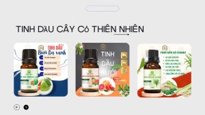 (HCM) Tinh Dầu Thiên Nhiên Nguyên Chất Hoa Tulip Khuếch Tán Hương Thơm Tạo Cảm Giác Thư Thái  Sảng Khoái - Rô Organic