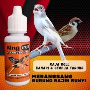VITAMIN KING ROLL  BURUNG KENARI DAN GEREJA PEMICU BUNYI GACOR DAN NGEROLL