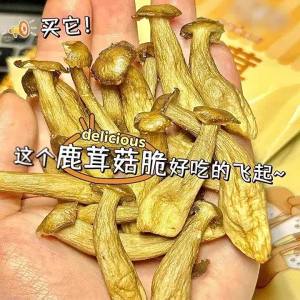 Edible Fungus Snack with Truffle & Salt