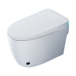 TEM | Intelligent Wall-mounted Rear Install Toilet