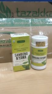 TAZAKKA Ekstrak Daun Sambung Nyawa Nyowo Kapsul Obat Kolestrol Tinggi Herbal Kolesterol