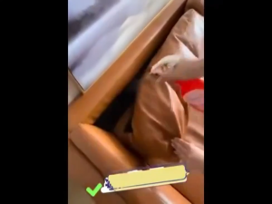 Kills bugs & eggs bed bug spray killer 500ml bed bug killer Powerful Kill ubat pijat tilam spray pepijat tilam bug spray bed