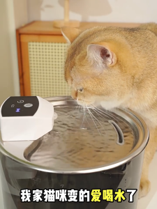 Wireless Smart Cat Water Fountain 3L Large Capacity 4-Stage Filtration Motion Sensor & UV Sterilization Ultra-Quiet