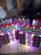 MINIATUR SOUND &TRUCK OLENG