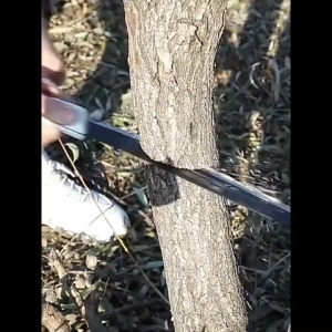 SK5 Handheld Pruning Saw Lagaring Kahoy Dry Wet Wood Garden Hand Saw Sorashop