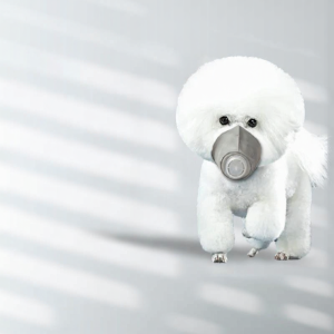 Poison and Gas Prevention Dog Mask