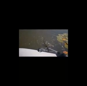 Aluminum Alloy Detachable Kayak Paddles: A Comprehensive Guide