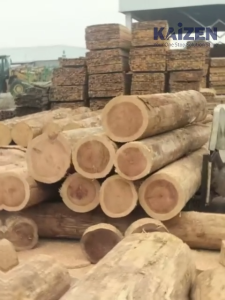 (THICK VER) Natural Pine Wood 2.5CM Floating Wall Storage Decorated Display Shelves Beige Natural Wood Grain Knot