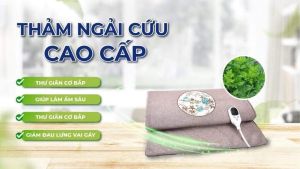 Thảm điện ngải cứu đông y