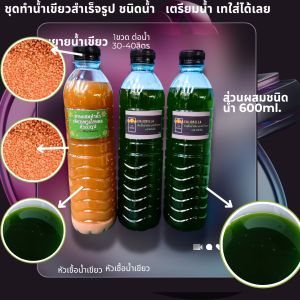 หัวเชื้อทำน้ำเขียวเลี้ยงไรแดงสำเร็จรูป สูตรเขียวไว ไม่ต้องพักน้ำปะปา