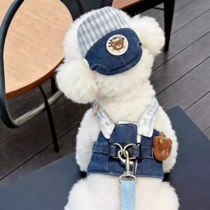 Petone dOrage | Outdoor Use Denim Vest for Dogs