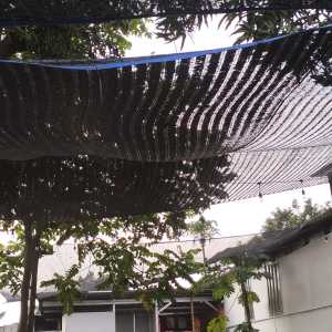 Jaring pranet 95%ukuran 4x10 Bisa request ukuran FUNGSI PARANET ● MENGONTROL INTENSITAS CAHAYA MATAHARI. ● SEBAGAI PENEDUH TERAS RUMAH TEMPAT PARKIR OUTDOR DLL.