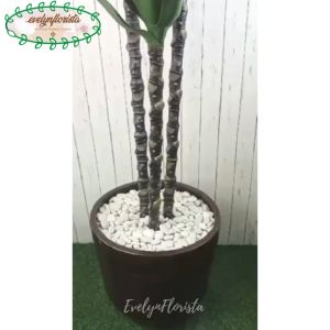 Pohon Hias Tanaman Imitasi Agave Foxtail T180 Latex Pot Elegant Dekorasi Sudut Caffe