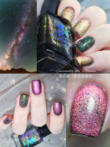 Encounter the Blooms Galaxy Series Magnetic Oil-Based Nail Polish Unremovable Starry Sky Design Beauty Tool from China