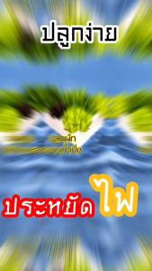 ชุดคิทกล่องโฟม 8 ต้น (น้ำนิ่ง)
