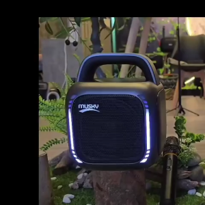 Musky Mini HiFi Speaker | Bluetooth | 2 Wireless Mics | TWS Karaoke Speaker