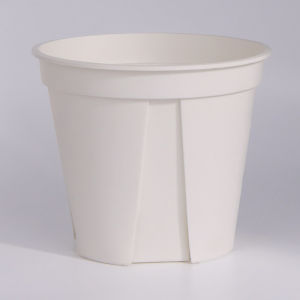White Root Controlling Plant Pot