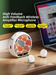 Weilade | Wireless Lavalier Noise Reducing Amplifier for Teaching and Live Streaming