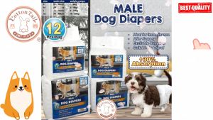 Male Dog Diapers Size S to XL - Popok / Pampers Anjing Jantan