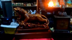 Tượng ông hổ phong thủy dài 25cm.