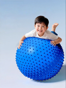 REXUELONG | Sensory Integration Training Explosion-Proof Balance Ball
