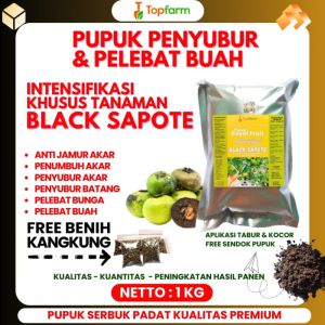 Pupuk Black Sapote / Pupuk Pohon Black Sapote / Pupuk Pembesar Buah Black Sapote / Pupuk Khusus Tanaman Buah Black Sapote / Pupuk Sapote