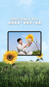 OPPO Pad 4 Pro/13.2inches 144Hz LCD Screen Tablet/ 3.4K Ultra-Clear Original Color Screen/Snapdragon 8 Elite/12140 mAh/OPPO Pad/OPPO Tablet/OPPO平板